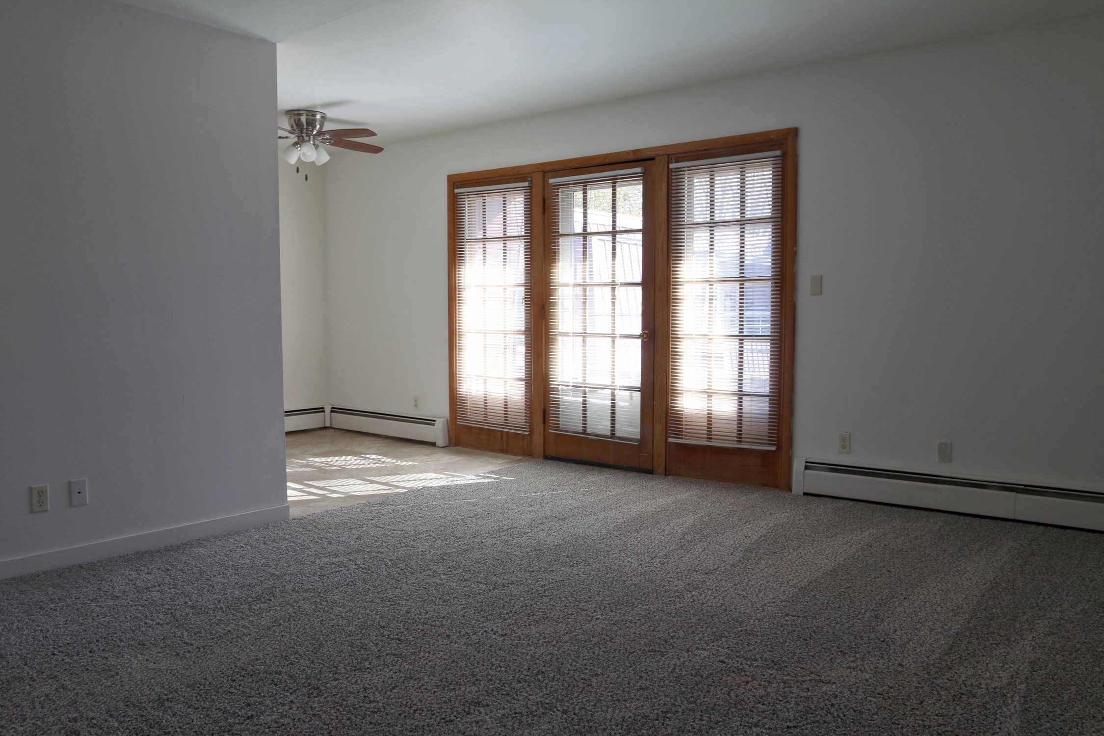 Gallery Photo 11